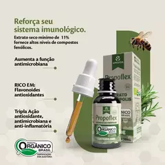 Extrato Própolis Verde Orgânico Propoflex 30ml Apisvida Campinas - comprar online