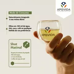 Extrato Própolis Verde Orgânico Propoflex 30ml Apisvida Campinas na internet