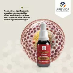 Extrato Própolis Verde Orgânico Propoflex 30ml Apisvida Campinas na internet
