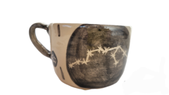 Astrotaza Acuario