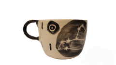 Astrotaza Leo