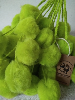 Tulma Jujeña Verde manzana