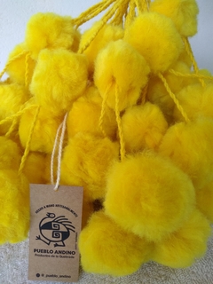 Tulma Jujeña Amarillo Huevo