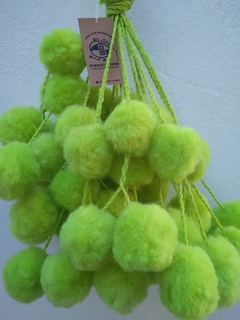 Tulma Jujeña melón en internet