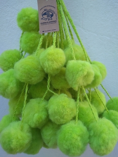 Tulma Jujeña melón - comprar online