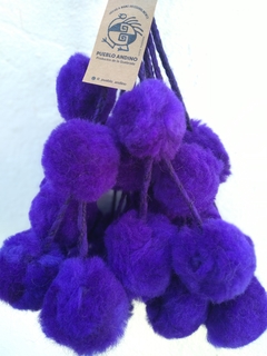 Tulmas jujeñas violetas