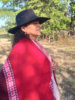 Chalinas / Pashminas de guardia - comprar online