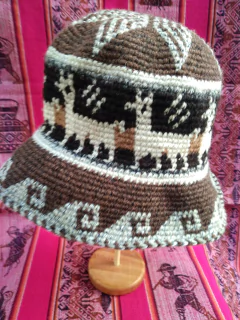 carnavaleros en internet