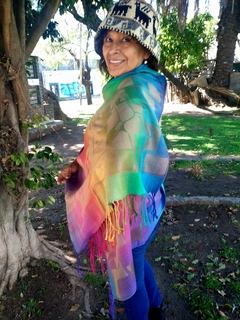 Chalinas / Pashminas livianas multicolores