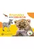 Libro Infantil, Toco y Descubro, Libros Con Texturas Para Bebes/Niños en internet