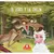 Colección Letras Animadas Libro Infantil Riderchail - comprar online