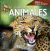 Colección Libro Conoce El Cuerpo Humano - Los dinosaurios -El Universo -Los Animales en internet