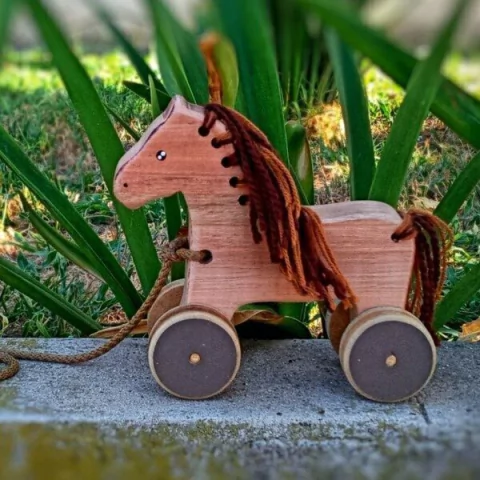 Juego Juguete De Arrastre Animalito Animal Infantil - comprar online