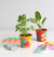 Crea Tu Huerta Jardin Jugamas Manualidades - comprar online
