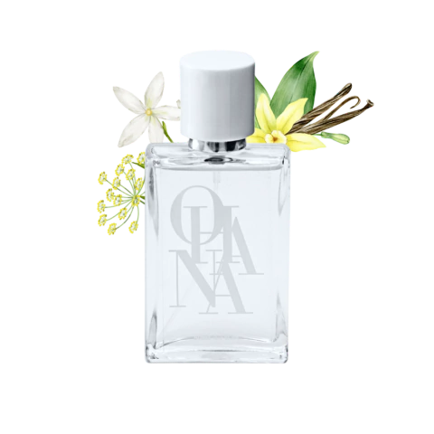 Le Fortune - Inspiração: Good Fortune - V&R - ULTIMAS UNIDADES