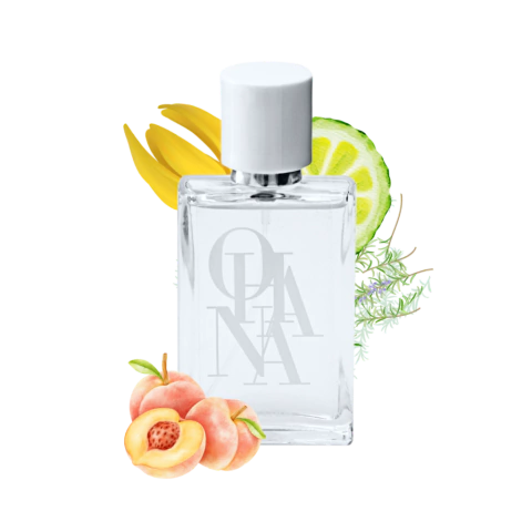 Poggy - Inspiração: Poggia TT - ULTIMAS UNIDADES