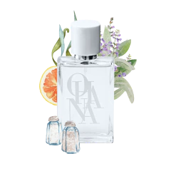 Sale Marino - Inspiração: Wood Sage & Sea Salt - JM - comprar online