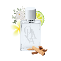Pur Pócion - Inspiração: Pure Poison - DI