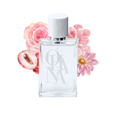 Lalina Rosée - Inspiração: Delina Rosée - PDM - comprar online