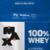 Whey Protein Refil 100% Concentrado 900g Sabor Baunilha na internet