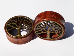 Expansor Túnel Madera con centro de Bronce !!! c/u