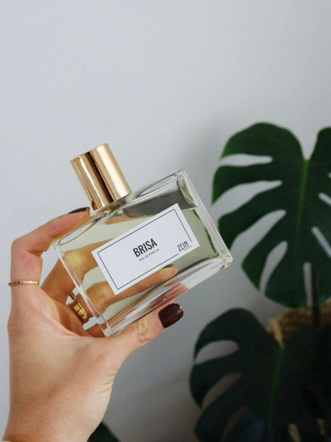 Perfume BRISA - Inspiração Light Blue - comprar online