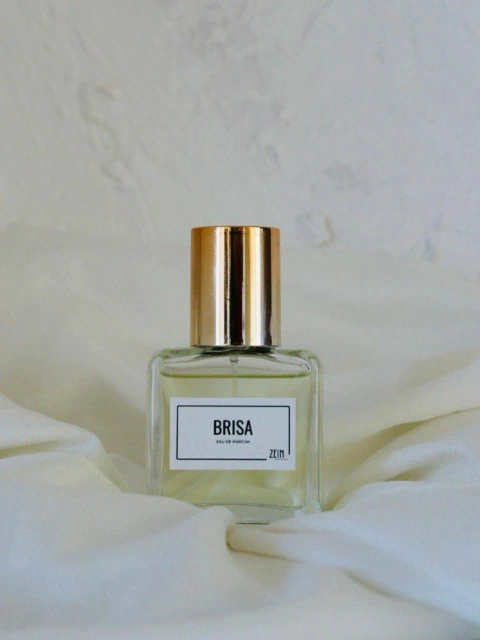 Perfume de Bolsa BRISA 30 ml - Inspiração Light Blue - comprar online