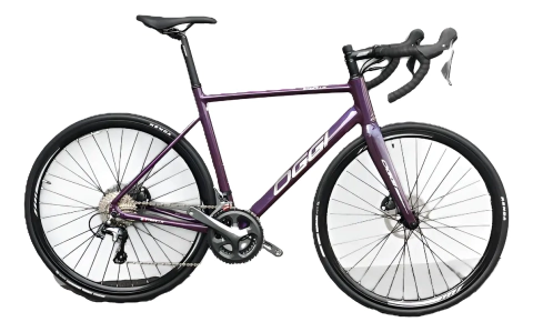 BICICLETA SPEED OGGI 29 STIMOLLA ROXA