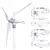 Gerador de turbina eólica 600W 12V 24V 3 5 lâminas Gerador eólico residencial na internet
