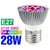 Lâmpada LED Full espectro para crescer planta lâmpada luz