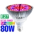 Lâmpada LED Full espectro para crescer planta lâmpada luz na internet