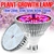 Lâmpada LED Full espectro para crescer planta lâmpada luz