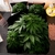 Conjunto de roupa de cama 420 Folhas de ervas - loja online