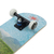 Skate Estampa Paisagens Semiprofissional - Bel Fix - comprar online