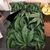 Conjunto de roupa de cama 420 Folhas de ervas na internet