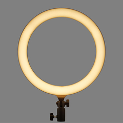 Aro de luz led Godox LR120 Bi-Color (30 cm) - comprar online