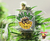 MASENKO AUTO X5 - Poison seeds - comprar online