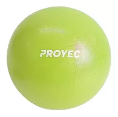 Pelota Yoga Esferodinamia Suiza 25 Pilates Cm Gym Ball en internet