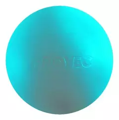 Pelota Lacrosse Proyec Masajes Kinesio Fitness Ball