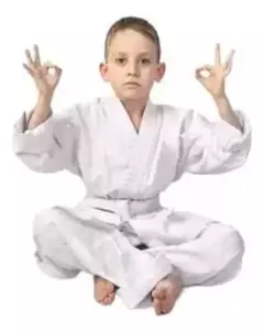 Judogui Judo Para Niños Marca Shiai Liviano en internet