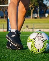 Pelota De Fútbol Diportto N°4 Profesional Pique Completo - comprar online