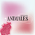 Banner de MOLdes creativos