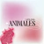 Banner de MOLdes creativos
