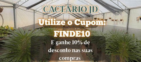 Carrusel Cactario JD