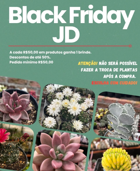 Carrusel Cactario JD