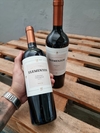 Elementos Cabernet Sauvigon 750 ml