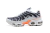 NIKE AIR MAX PLUS "WHITE PHOTON DUST" - TN1 TUNED AIR