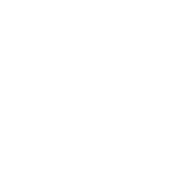Frida store