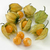 Sementes de Physalis (Golden Berry)