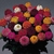 Sementes de Zinnia Lilliput Sortido